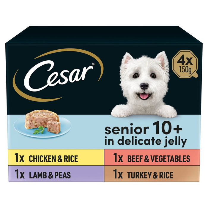 Cesar Senior Wet Dog Food Tabletts Fleisch in zartem Gelee 4 x 150 g