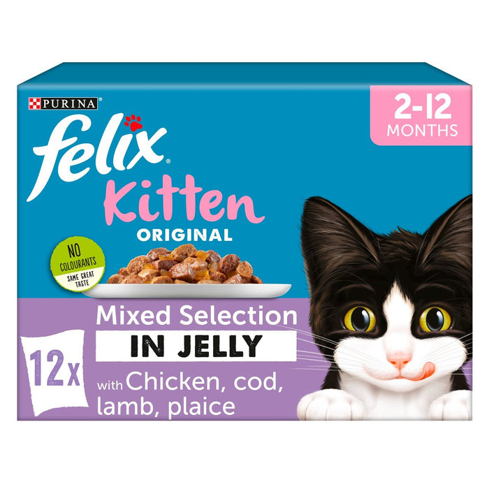 Selección mixta de comida de gato de gatito en gelatina en gelatina 12 x 100g